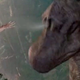 Illustration for article titled These Are the 10 Best Female Characters From Jurassic Park
